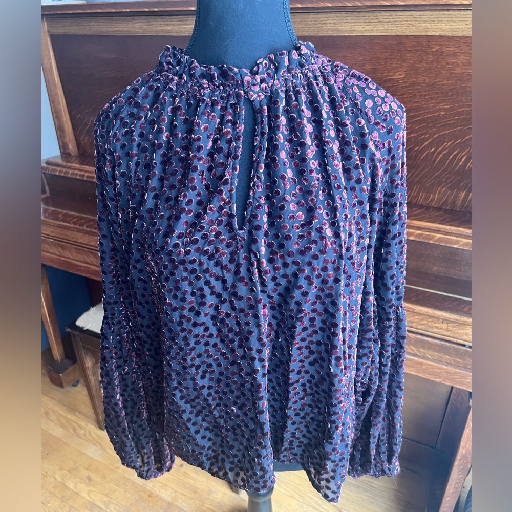 A MTL 1980 Velvet and Sheer Blouse